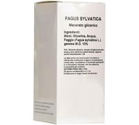 sarandrea marco &c. srl Fagus sylv.mg 100ml sarandrea