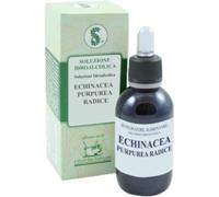 Sarandrea Marco ECHINACEA PUR RX 60ML TINTURA MADRE
