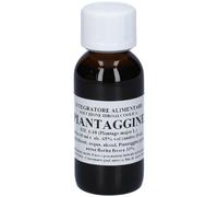 PIANTAGGINE 60ML TM