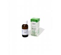 PASSIFLORA 100ML TM