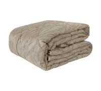 SaRani Trapunta Piumone Invernale Caldo Imbottito Matrimoniale Tessuto Jacquard Fantasia Foglie (Beige)
