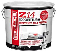 Saratoga Idropittura Z14 Antimuffa Lt.10