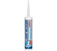 Saratoga silicone sigillante sanitari BiancoSan trasparente 310 ml Trasparente