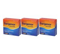 Sargenor Pocket Bustine 3x100 ml Soluzione orale