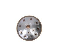 Sarospan Handpan - Tamburo da 55,9 cm, 12 note D Kurd 440 Hz, con custodia morbida, bacchette, supporto, adesivi per note, panno per la pulizia, video sulle performance dell'artista