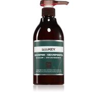 Saryna Key No Yellow shampoo anti-giallo con burro di karité 500 ml