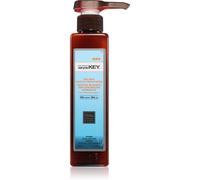 Saryna Key Styling & Finish balsamo senza risciacquo 300 ml
