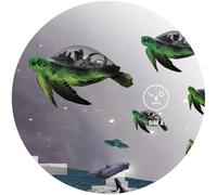 sasha-how to wear nathan fake roman flg