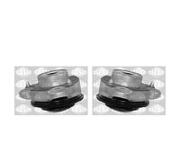 SASIC Set Domlager Federbeinstützlager Sinistro Destro Passante Per Fiat Ducato