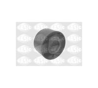 SASIC Supporto Braccio Trasversale Posteriore per BMW Serie 3 E36 31129059288
