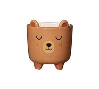 Sass & Belle Mini fioriera a forma di orso sulle gambe