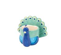 Sass & Belle Mini fioriera pavone