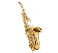 Sassofoni per gli amanti della musica Piccolo sassofono soprano curvo in Si bemolle per principianti adulti ed esami