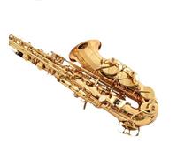 Sassofoni per gli amanti della musica Sassofono contralto in mi bemolle Performance Style per principianti e adulti