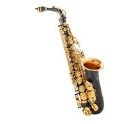 Sassofoni per principianti Il sassofono contralto in mi bemolle è perfetto per i principianti che vogliono esercitarsi e suonare