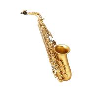 Sassofoni per principianti Principiante che suona il sassofono contralto in Mi bemolle