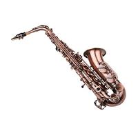 Sassofono Antique E-flat Brass Materiale Con Custodia Per Il Trasporto Straccio Sax Boccaglio Kit principianti sax