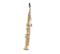 sassofono Buona tenuta stagna Ottone dritto Sassofono soprano Sib Si Bemolle Strumento a fiato in legno Conchiglia naturale Chiave intagliata Modello(Gold)