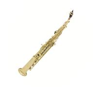 Sassofono contralto a tubo dritto professionale in Si bemolle strumento a fiato con custodia e accessori per ance Kit Sassofono