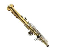 Sassofono Contralto Bb Superficie placcata in oro Bottone in argento Strumento artigianale Sax soprano professionale(Canvas bag)