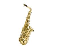 Sassofono Contralto BE Sax Alto Mi bemolle Imparare e suonare il sassofono