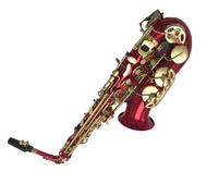 Sassofono Contralto Bocchino e custodia per sassofono professionale Red Alto Eb Golden Sax Flat Musical Instruments(Hard pack)