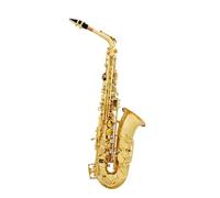 Sassofono Contralto Corpo laccato oro Set completo sassofono sassofono contralto mi bemolle sassofono per principianti Set completo
