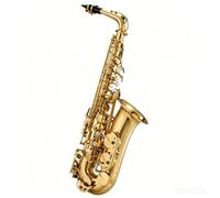 Sassofono contralto E-Flat for principianti, strumento musicale in ottone, sassofono laccato oro con borsa(Intermediate)