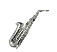 Sassofono Contralto Eb Sax Silvering Performance Strumento Musicale Con Custodia Accessori(Leather)