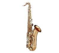 Sassofono Contralto Gli accessori potenziano un set completo di strumenti per sassofono contralto in Si bemolle per principianti che vogliono esibirsi e testare professionalmente