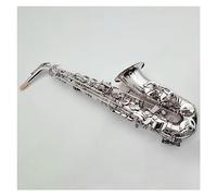 Sassofono Contralto In Argento Sassofono In Mib Strumento A Fiato In Ottone Modello Per Incisione Profonda Sax Contralto Sassofono per principianti Kit