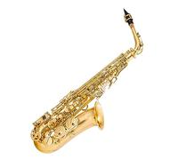 Sassofono Contralto In Mi Bemolle Sax In Mi Bemolle 875EX Strumento A Fiato Tipo Chiave Sassofono per principianti Kit (Color : 03)