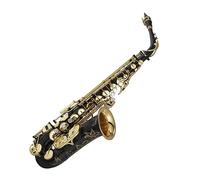 Sassofono Contralto In Mi Bemolle Sax In Mi Bemolle 875EX Strumento A Fiato Tipo Chiave Sassofono per principianti Kit (Color : 01)