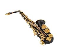 Sassofono Contralto In Mib Nero Opaco Rosso Blu Viola Placcato Superficie Intagliata E Strumento Piatto Sax Con Custodia (Color : Bk)