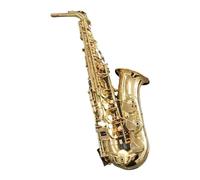Sassofono Contralto In Mib Ottone Laccato Oro Strumento Musicale Sax In Mi Bemolle Con Custodia E Accessori (Color : 03)