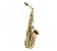 Sassofono Contralto In Mib Ottone Laccato Oro Strumento Musicale Sax In Mi Bemolle Con Custodia E Accessori (Color : Light Green)