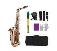 Sassofono Contralto In Mib Strumento A Fiato In Ottone Con Custodia Per Il Trasporto Guanti In Tessuto Per La Pulizia Cinghie Per Sax Accordatore