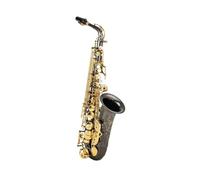 Sassofono Contralto In Mib Tune Ottone Nero Nickel Superficie Laccata In Oro Strumento Musicale Sax In Mi Bemolle (Color : 02)