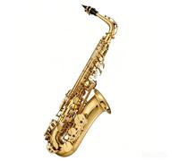 Sassofono contralto in ottone E-Flat, strumento musicale for principianti, sassofono laccato oro con custodia protettiva(Student)