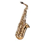 Sassofono contralto in ottone laccato oro con custodia per il trasporto, guanti, panno per la pulizia, spazzola, cinghie per sassofono e ance - Strumento a fiato