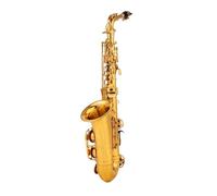 Sassofono Contralto Mi Bemolle Elettroforesi Strumento Musicale Professionale Placcato Oro Con Custodia