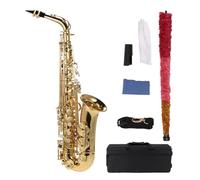 Sassofono Contralto Mib Ottone Laccato Oro Mi Bemolle Sax Contralto Strumento A Fiato Con Borsa Per Il Trasporto Accessori Per Sax (Color : Gold Eb Alto Sax)