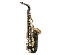 Sassofono Contralto Mib Ottone Laccato Oro Mi Bemolle Sax Strumento A Fiato (Color : Bk)
