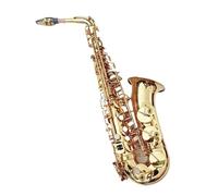 Sassofono Contralto Mib Simulazione Rame Sax Contralto Strumento A Fiato Professionale Con Bocchino (Color : 02)