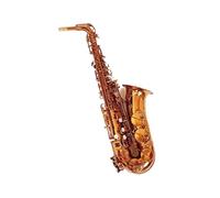 Sassofono Contralto Mib Simulazione Rame Sax Contralto Strumento A Fiato Professionale Con Bocchino (Color : 01)