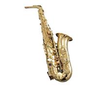 Sassofono Contralto Mib Tune Ottone Lacca Dorata Strumento Musicale Sax E-Bemolle Con Custodia Accessori (Color : 03)