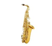 Sassofono Contralto Mib Tune Ottone Lacca Dorata Strumento Musicale Sax E-Bemolle Con Custodia Accessori