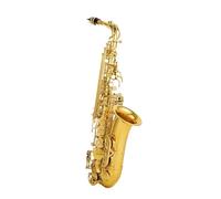 Sassofono Contralto Mib Tune Ottone Lacca Dorata Strumento Musicale Sax E-Bemolle Con Custodia Accessori