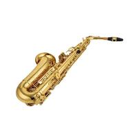 Sassofono Contralto Mib Tune Ottone Lacca Dorata Strumento Musicale Sax Mi Bemolle Con Custodia Accessori