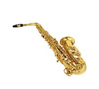 Sassofono Contralto Mib Tune Ottone Lacca Dorata Strumento Musicale Sax Mi Bemolle Con Custodia Accessori